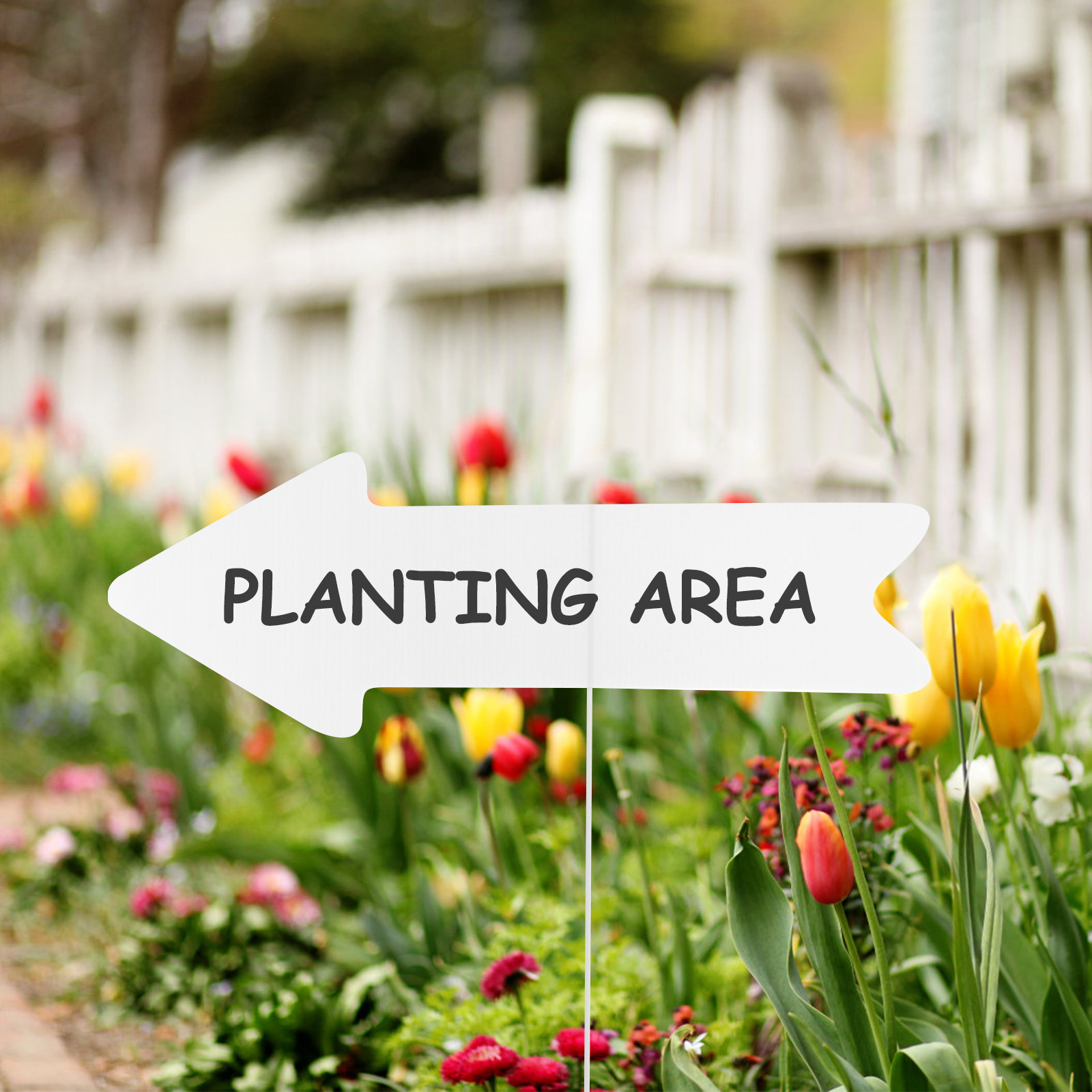 ป้ายพลาสติกเปล่า 5 ชิ้น พร้อมเ - Yard Sign Blank บทวิจารณ์และราคา